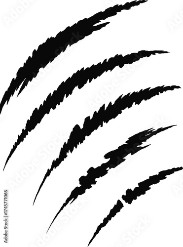 Black claw scratches design element with a striking silhouette on transparent background