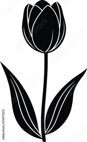 Abstract geometric pattern flowing lines dynamic movement smooth curves elegant design isolated on transparent background