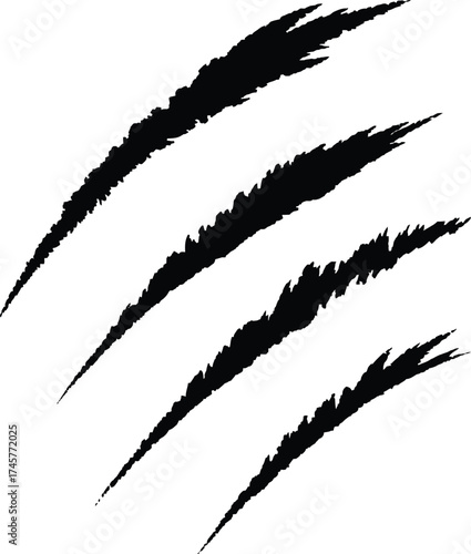 Dramatic black claw scratches graphic design element on transparent background silhouette