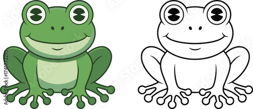 Cute green frog with lighter belly, black‑and‑white coloring version, animal illustration for children’s books and projects