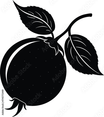 A person's hand gesturing peace symbol outdoor nature scene daytime isolated on transparent background