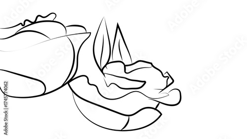 Black outline roses with leaves on a white background, drawn with black lines for design