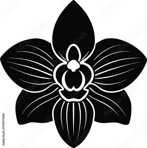 Detailed macro photograph of a bright red ladybug on a green leaf surface with soft bokeh isolated on transparent background