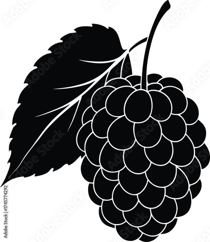 Abstract swirling galaxy nebula with vibrant cosmic colors and stellar dust patterns isolated on transparent background