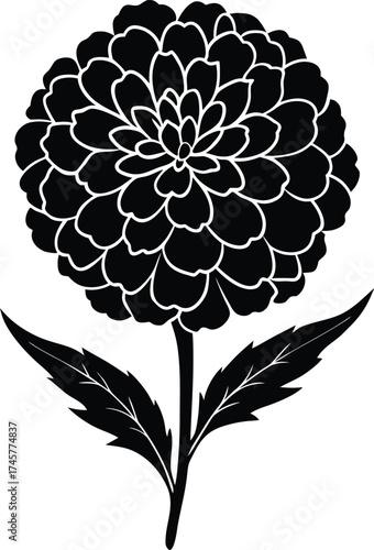 Close up macro shot of a single dewdrop on a green leaf surface capturing natural light isolated on transparent background