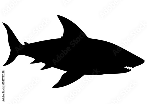 Shark Silhouette Black Simple Vector Ocean Predator Illustration