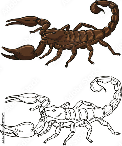 Detailed brown scorpion with large claws and a raised, stinging tail, vector illustration for insect, nature, poison, desert, wildlife, isolated

