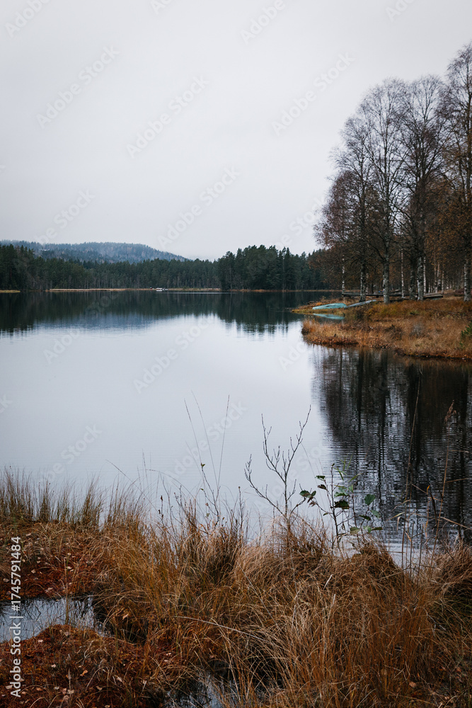 Fototapeta premium Quiet Lake Shoreline with Bare Birch Trees and a Distant Boat on a Foggy Autumn Day