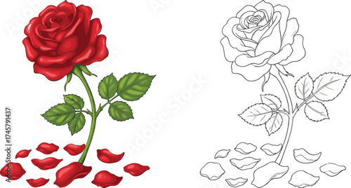 Wallpaper Mural Detailed hand-drawn red rose with green stem and leaves, falling petals at the base, vector illustration for love, romance, valentines, beauty, isolated, botanical

 Torontodigital.ca