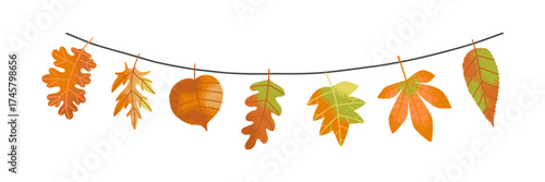 Beautiful cartoon autumn leaves hanging on a string. seasonal garland with maple and oak leaves. Fall Season horizontal template for banner, poster, card. Hand drawn illustration.