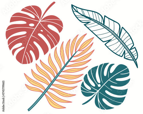 set of feathers vector