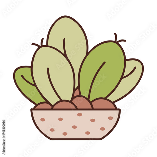 Potted cactus with green leaves in decorative bowl  