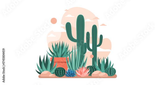 Desert Cactus Plants and Succulents Arrangement.