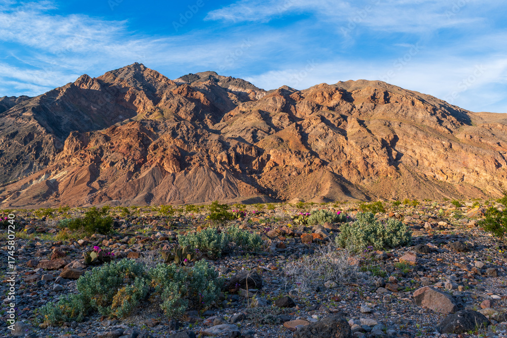 Fototapeta premium Striped Desert Mountains at Golden Hour with Shadowed Foreground, Hole in the Wall Road, Death Valley National Park