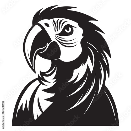 macaw parrot  vector icon