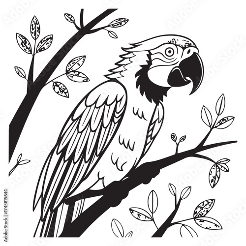 macaw parrot  vector icon