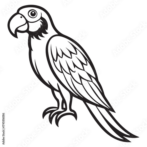 macaw parrot  vector icon