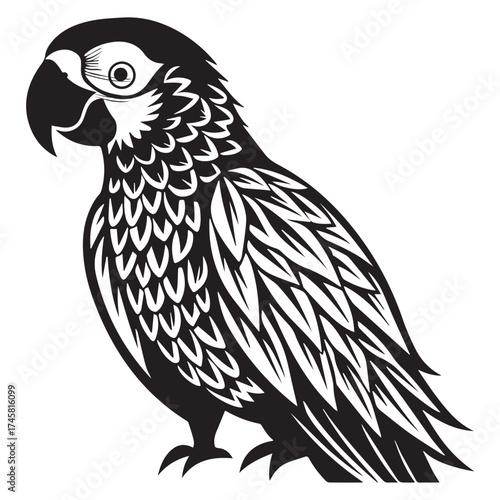 macaw parrot  vector icon