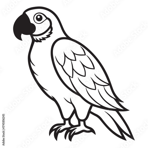 macaw parrot  vector icon