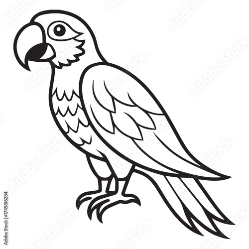 macaw parrot  vector icon