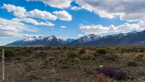 Snow-dusted Nevada mountains with desert scrub and blooming plants under partly sunny sky with puffy white clouds, photographed in April