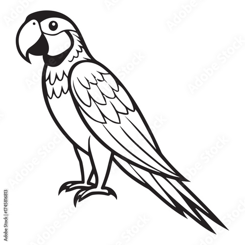 macaw parrot  vector icon