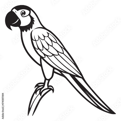 macaw parrot  vector icon