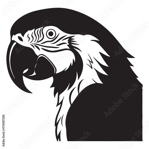 macaw parrot  vector icon