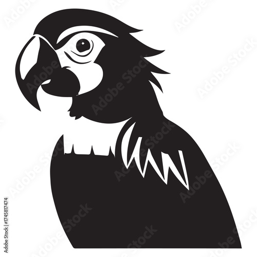 macaw parrot  vector icon