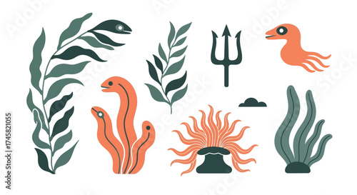 Underwater Flora and Fauna - A Colorful Marine Ecosystem.