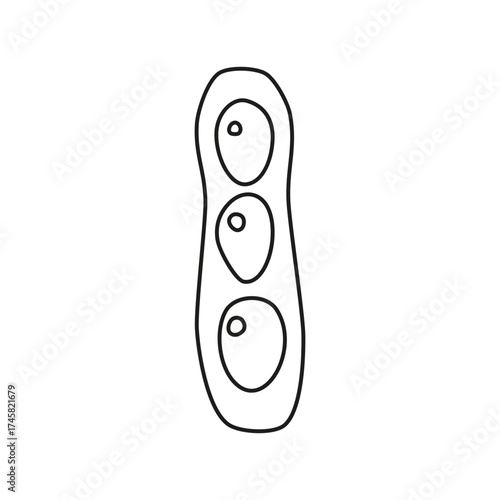 Cute hand drawn outline edamame beans isolated on white background. Healthy vegetarian food. Summer and autumn harvest.