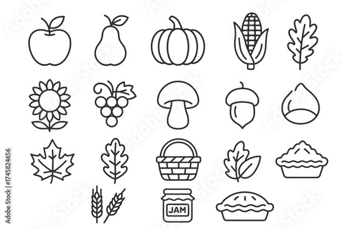Autumn harvest icons: fruits, vegetables, and seasonal delights in line art