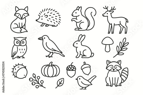 Outline style woodland animals and nature elements collection