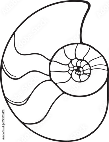 Nautilus Seashell Shell Mollusk Simple Hand-drawn Sketch Doodle Drawing Vector Illustration, Black and white Line Linear Isolated Art