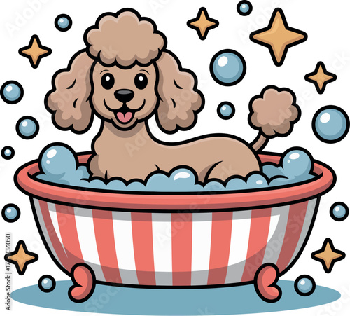 Cute poodle dog taking a bath with bubbles isolated on white background
