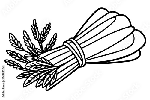 Minimal Herbal Line Art Vector Set – Botanical Outline Illustration Collection on White Background