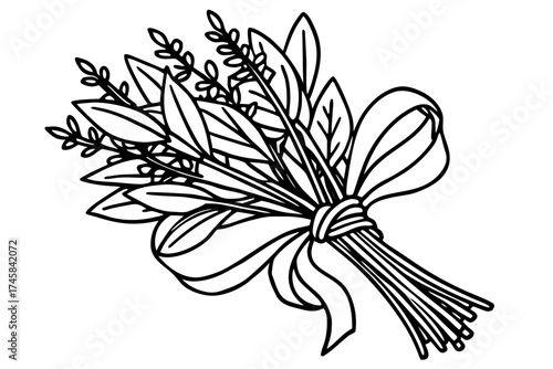 Minimal Herbal Line Art Vector Set – Botanical Outline Illustration Collection on White Background