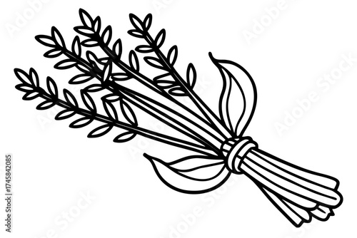 Minimal Herbal Line Art Vector Set – Botanical Outline Illustration Collection on White Background
