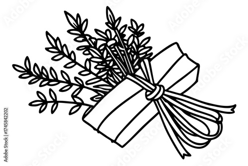 Minimal Herbal Line Art Vector Set – Botanical Outline Illustration Collection on White Background