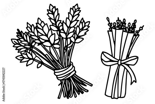 Minimal Herbal Line Art Vector Set – Botanical Outline Illustration Collection on White Background