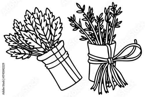 Minimal Herbal Line Art Vector Set – Botanical Outline Illustration Collection on White Background