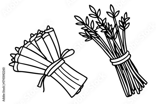 Minimal Herbal Line Art Vector Set – Botanical Outline Illustration Collection on White Background