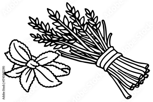 Minimal Herbal Line Art Vector Set – Botanical Outline Illustration Collection on White Background