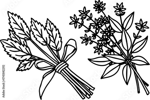 Minimal Herbal Line Art Vector Set – Botanical Outline Illustration Collection on White Background