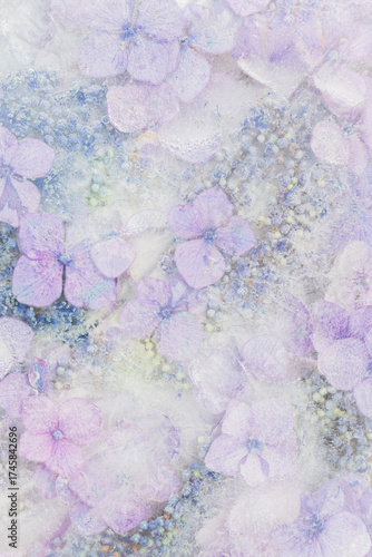abstract floral background with hydrangea and hortensia flowers in soft violet and purple pastel colors 