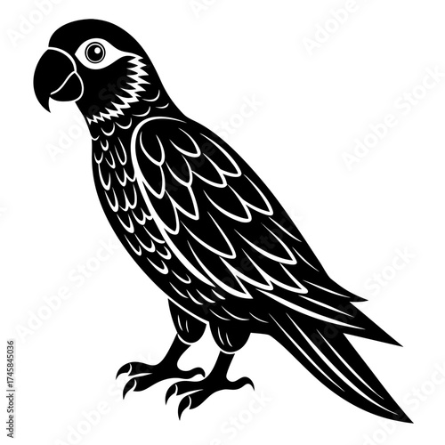 vector illustration of a bird