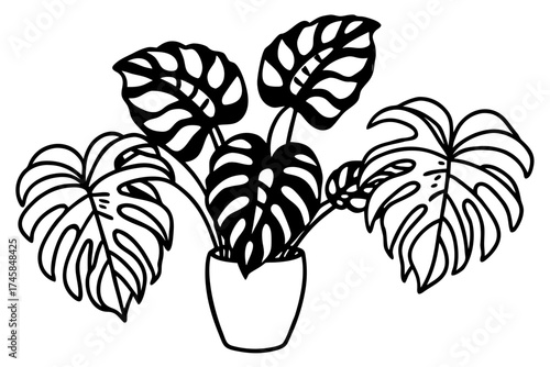 Elegant Monstera Leaf Bundle Line Drawing Vector Illustration