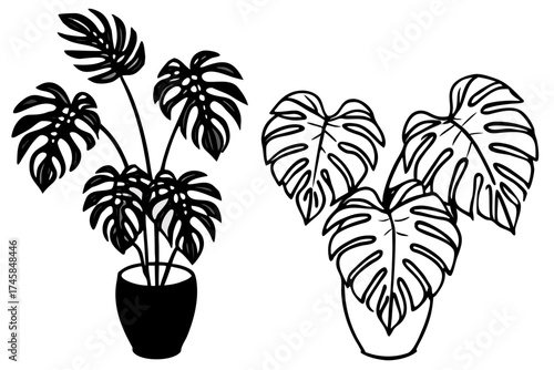 Elegant Monstera Leaf Bundle Line Drawing Vector Illustration
