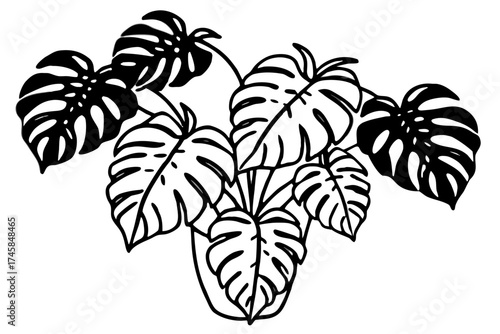 Elegant Monstera Leaf Bundle Line Drawing Vector Illustration