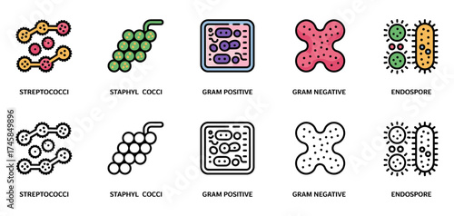 bacterial arrangements icon set with streptococci, staphylococci, gram positive and endospore symbols, vector illustrations for microbiology and bacteriology